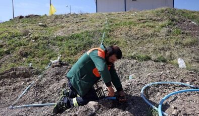Çankaya’da Kurban Bayramı Hazırlıkları Başladı